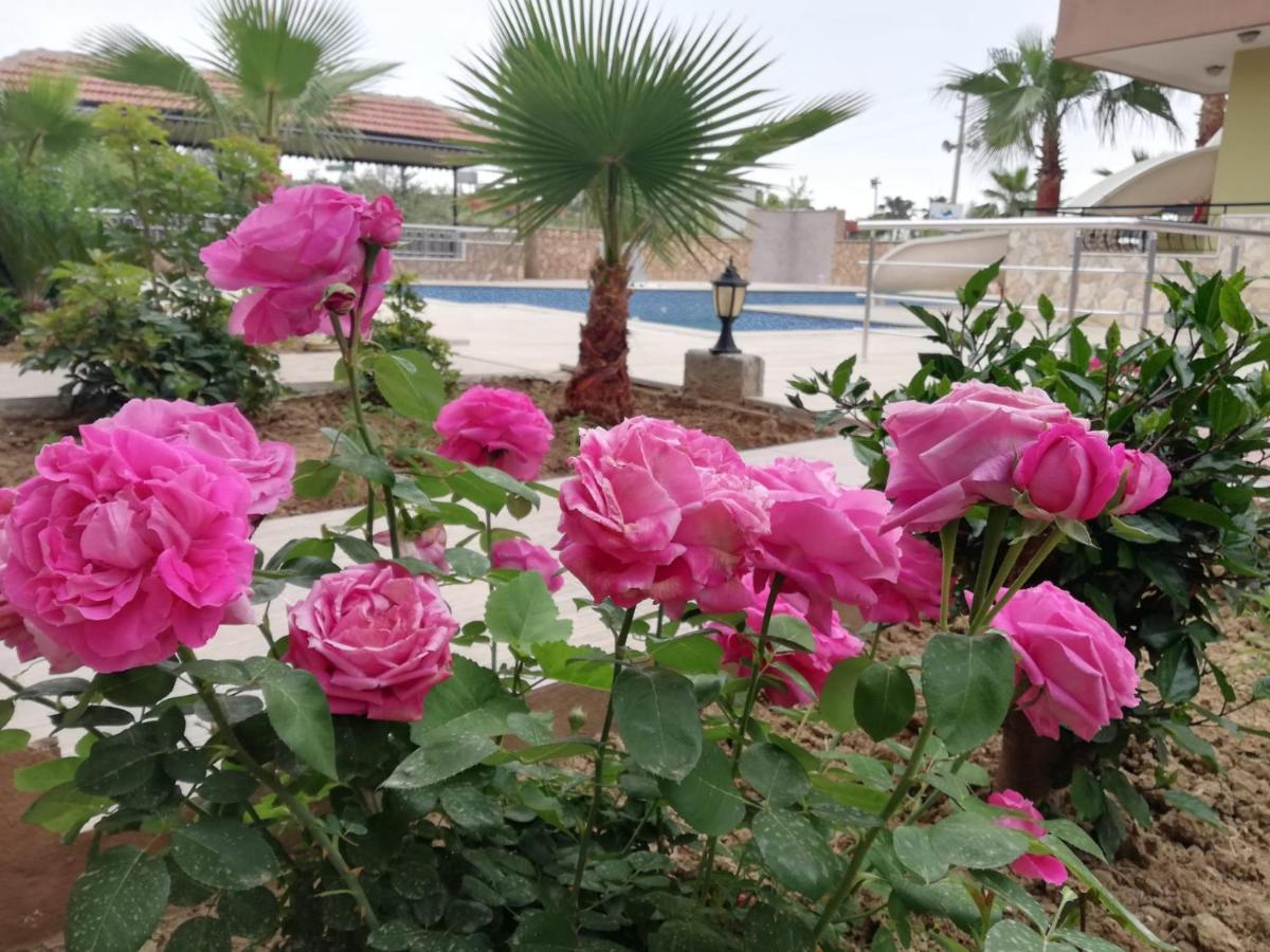 Esmeralda Butik Hotel คิซิลอท ภายนอก รูปภาพ